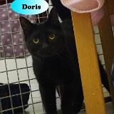 Doris 2 år